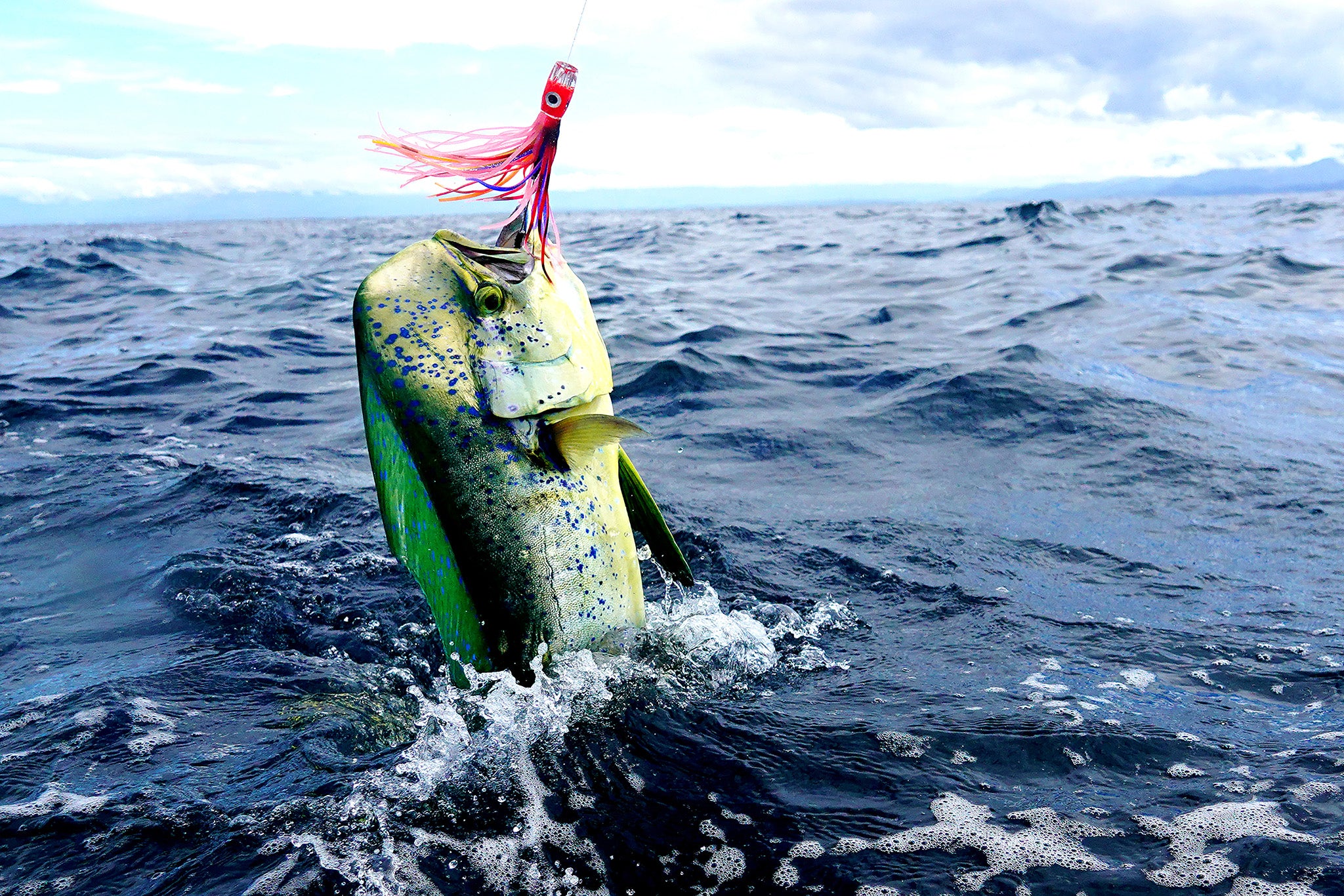 Master Your Next Big Catch
